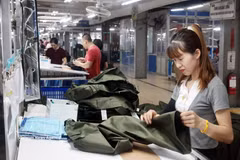 太原省TNG纺织服装股份公司生产出口欧盟市场的产品。图自越通社