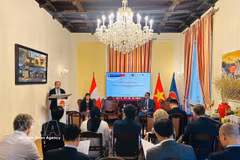 越南科学与技术翰林院与越南驻奥地利大使馆及国际应用系统分析研究所举行科技外交座谈会。图自越通社