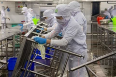 某一厂房的工人过年后重返工作岗位。图自越通社