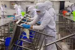 某一厂房的工人过年后重返工作岗位。图自越通社