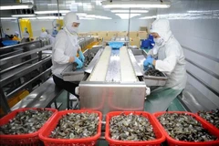 附图。图自越通社