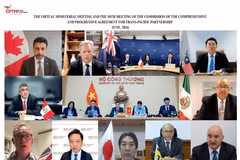 CPTPP各成员国部长及代表出席会议。多边贸易政策司供图