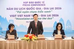 越南外交部与嘉莱省人民委员会在河内联合举行国际媒体吹风会。图自越通社