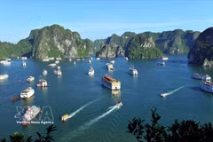 广宁省下龙湾成为中国游客十分青睐的旅游目的地。图自越通社