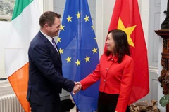 越南与爱尔兰举行副外长级政治磋商。图自越南外交部