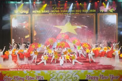 2026年丙午年春节的新春气息传遍越南各地