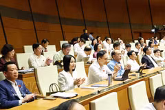 第十六届国会第一次会议通过具有特殊机制政策的《首都法》。图自越通社
