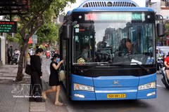 胡志明市预计将对135条公交线路实行市民免费乘车政策。图自越通社