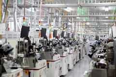 位于宁平省同文一号工业园区的汉城半导体有限公司（Seoul Semiconductor Vina）厂房。图自越通社