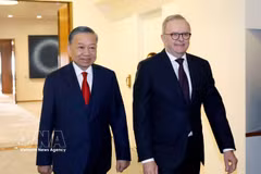 越共中央总书记、国家主席苏林同澳大利亚总理安东尼·阿尔巴尼斯举行会谈。图自越通社
