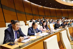 河静省国会代表团与会。图自越通社
