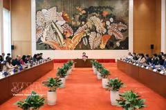 越南国会副主席阮氏红会见美国-东盟商务理事会高级代表团。图自越通社