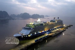 春节期间广宁省预计接待国际邮轮游客达数千人次。图自越通社