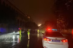 灾情发生后，该省各职能力量和地方政府立即紧密部署应对与灾后重建方案。图自越通社
