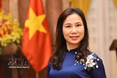 越南驻斯里兰卡兼驻马尔代夫大使郑氏心。图自越通社