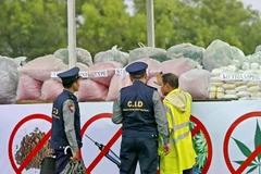 东盟聚焦解决毒品、网络犯罪和人口贩运问题。图自互联网