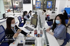 客户在保越银行一分行办理业务。图自越通社