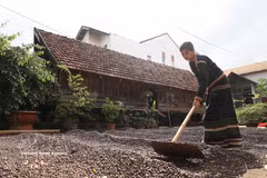 得乐省做好埃地族同胞长屋保护弘扬与社区旅游发展两手抓