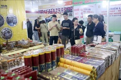 2026年岘港春节展销会吸引众多消费者前来参观购物。图自越通社