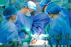 胡志明市医药大学附属医院医生进行器官移植手术。图自越通社