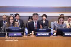 越南外交部常务副部长阮明羽主持座谈会。图自越通社