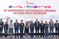 与会代表合影。图自越通社