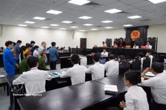 段宝珠因煽动颠覆国家政权罪被判处有期徒刑7年。图自越通社