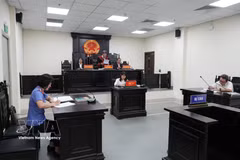 段宝珠因煽动颠覆国家政权罪被判处有期徒刑7年。图自越通社
