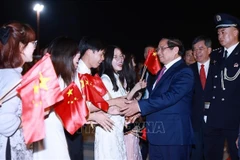 旅居中国越南人代表前来机场迎接越南政府总理范明政一行。图自越通社