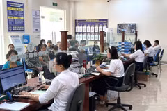 河内市专美乡干部和公职人员全心全意为民服务，为群众提供便利。图自越通社