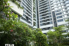 绿色建筑加速发展，越南在LEED排名中大幅攀升。图自越通社