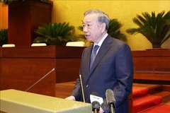 越共中央总书记苏林出席会议并发表指导性讲话。图自越通社