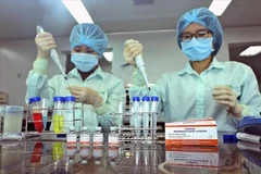 附图。图自越通社