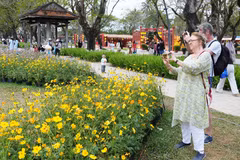 顺化市富春坊的春节鲜花装饰空间吸引众多国际游客参观拍照。图自越通社