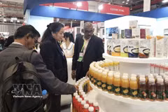 国际买家在2025年越南国际采购展（Viet Nam International Sourcing 2025）上了解越南产品。图自越通社