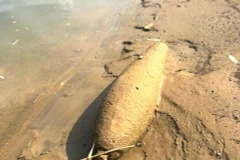 宣光省军事指挥部与地方政府及职能部门配合，成功迁移并安全销毁了一枚战后残留炸弹。图自越通社