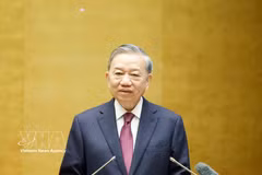 越共中央总书记、国家主席苏林出席会议并发表指导性讲话。图自越通社