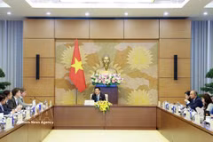 越南国会副主席阮鸿延在河内会见欧盟商会代表团。图自越通社