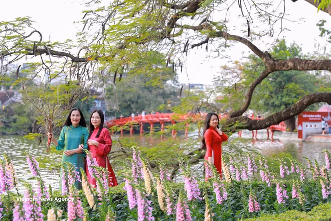 vnanet-potal-ha-noi-don-134-trieu-luot-khach-dip-tet-binh-ngo-2026-8602018.jpg