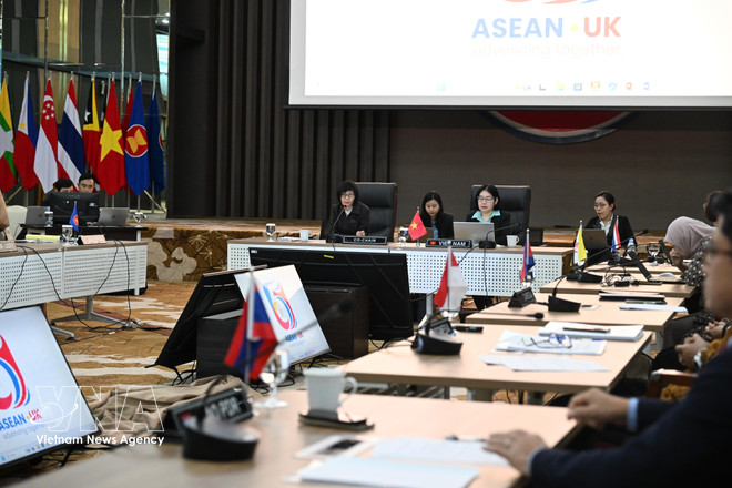 vnanet-viet-nam-dong-chu-tri-cuoc-hop-uy-ban-hop-tac-chung-asean-anh-lan-thu-5-8623578.jpg