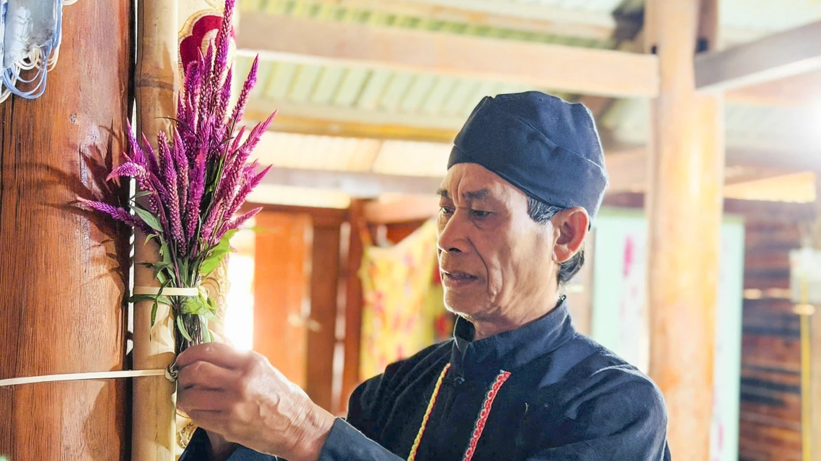 奠边省南棋乡贡族同胞欢庆鸡冠花节