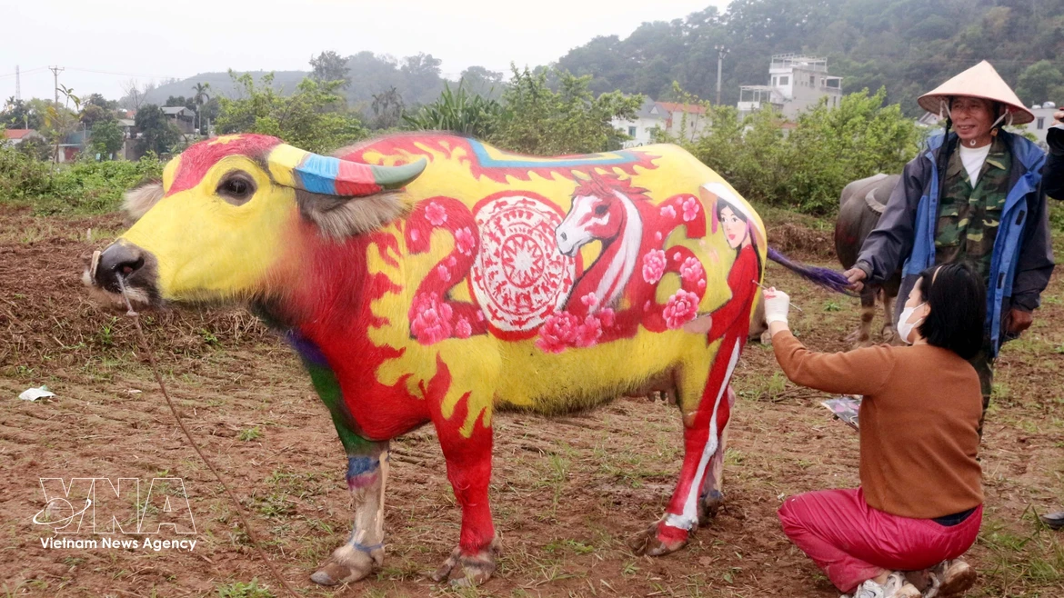荣获比赛一等奖的水牛。图自越通社