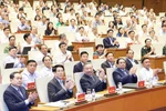 苏林总书记和各位领导代表出席会议。图自越通社