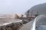 第5号台风登陆乂安和河静，北部和中部6省出现强降雨。图自越通社