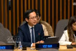 越南常驻联合国代表团团长杜雄越大使。图自越通社