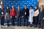 越南代表团出席联合国教科文组织（UNESCO）执行局第222届会议。图自越通社 