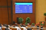 国会通过《数字技术产业法》。图自VOV