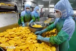 用于出口的农产品。图自越通社