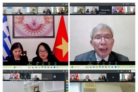 越南驻希腊大使馆组织线上对接会 图自越通社