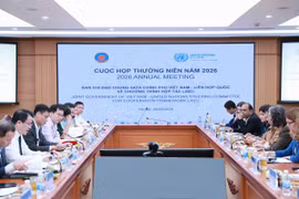 越南政府与联合国合作计划联合指导委员会会议。图：经济与财政杂志网